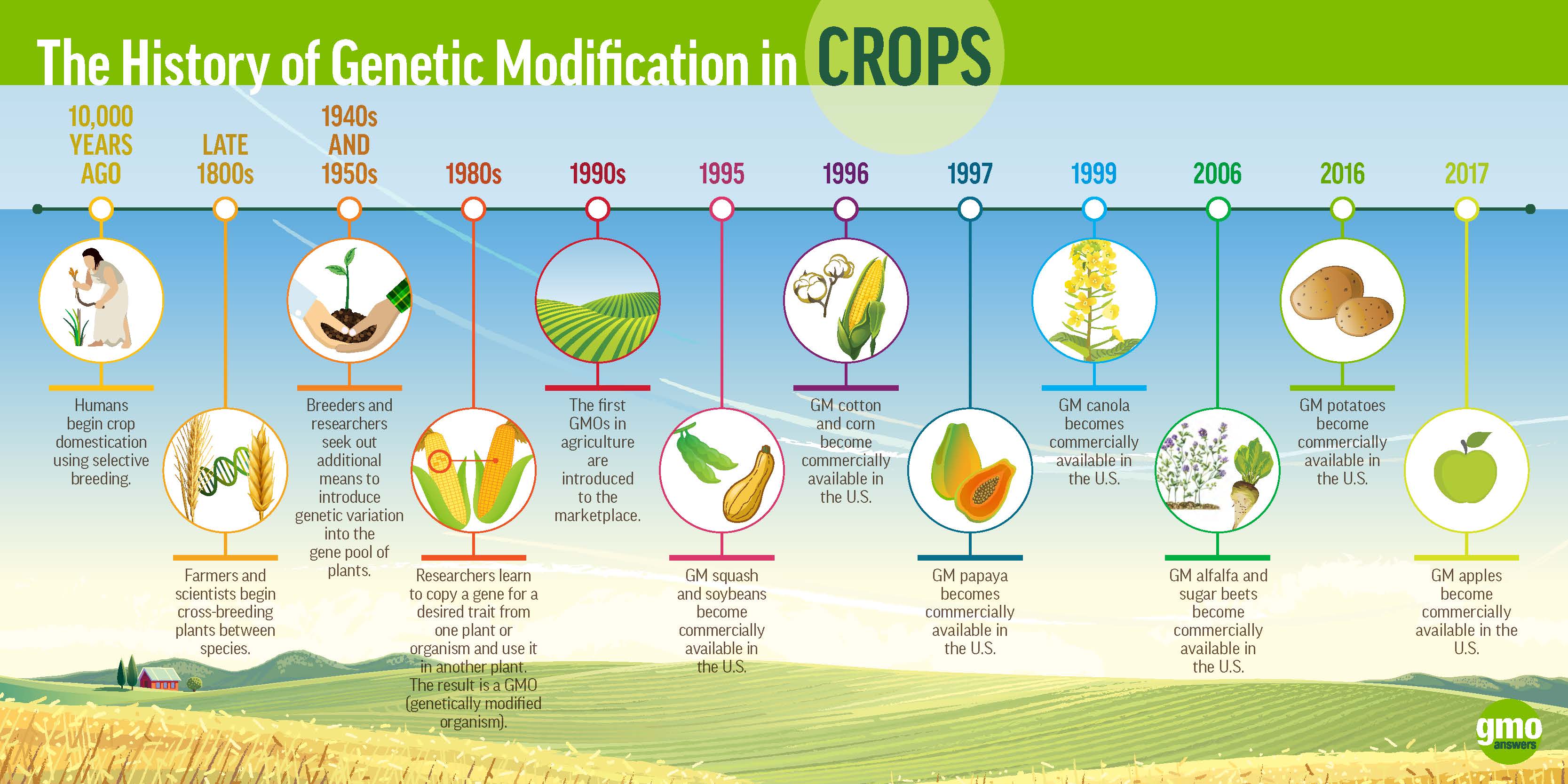 The Diagram Illustrates The Process Of Creating Genetically Modified